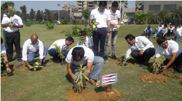 Plantation Plantation