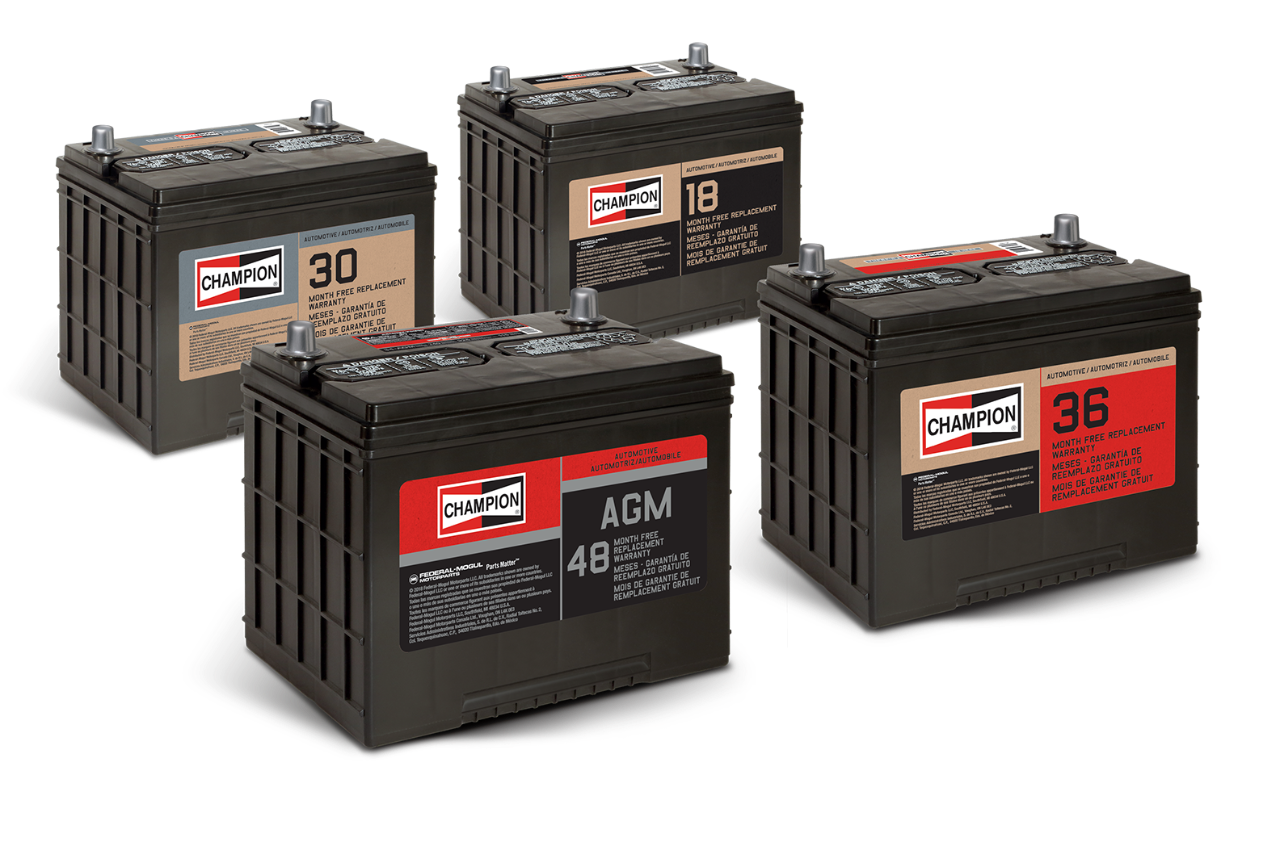 Automotive Battery Family Shot_082818 Automotive Battery Family Shot_082818
